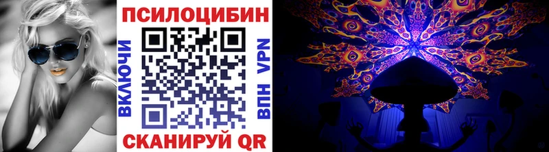 гидра ссылки  закладка  Переславль-Залесский  Псилоцибиновые грибы Psilocybine cubensis 