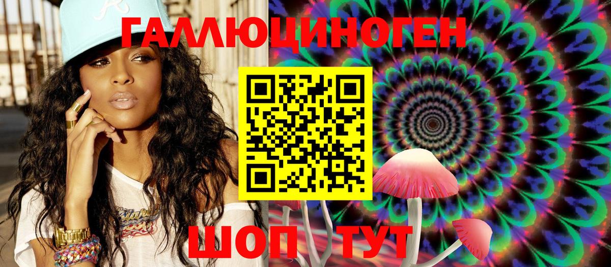 Псилоцибиновые грибы Psilocybe Переславль-Залесский