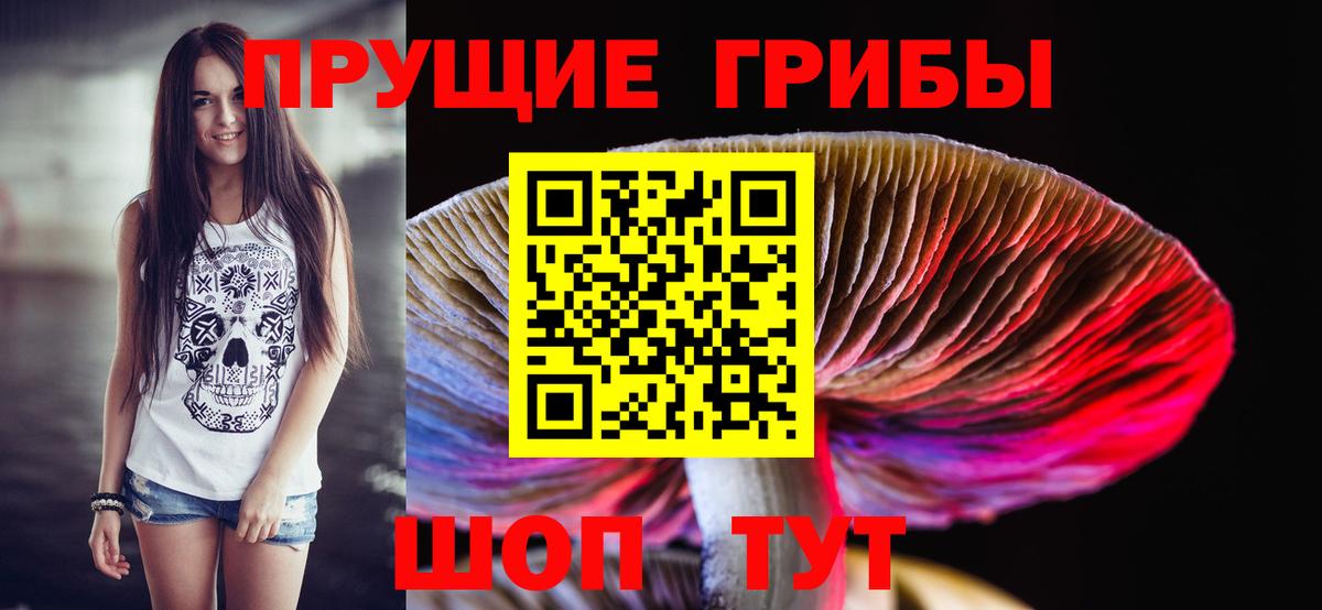 купить   Галлюциногенные грибы мухоморы  Псилоцибиновые грибы GOLDEN TEACHER  Вход с VPN  Переславль-Залесский 
